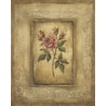 thumbnail image 2 of Poloson, Kimberly 12x14 White Modern Wood Framed Museum Art Print Titled - Grand Savin Rose, 2 of 4