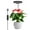 Black, variant on DONGPAI Grow Lights for Indoor Plants, Full Spectrum LED Halo Plant Light with Stand Height Adjustable Auto Timer, 10 Dimmable Levels 3 Colors Red Blue White Spectrum for Indoor Plants Growing