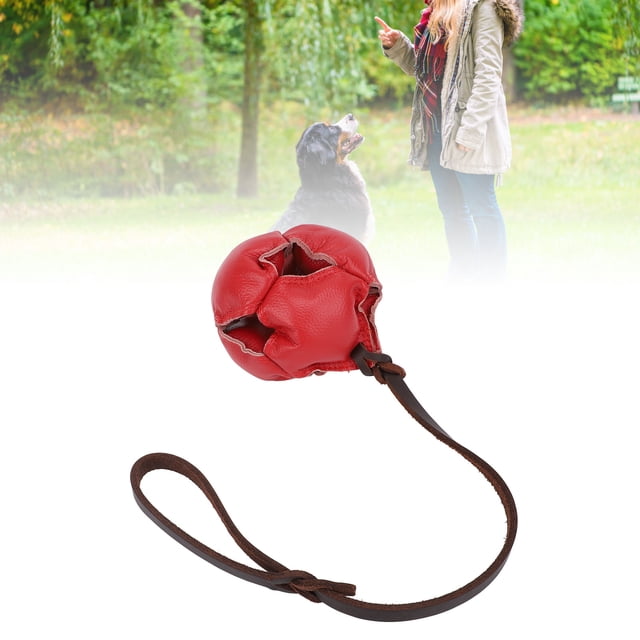 Balle d'Entraînement pour Chien, Balle d'Exercice et de Récompense pour Chien Solide et Résiliente Résistante aux Morsures et aux Déchirures, Balles en Cuir pour Chien pour Usage Intérieur et Extérieur pour Chiens de Petite à Moyenne Taille