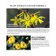 thumbnail image 5 of LANBENA 24K oro ácido hialurónico seis péptidos suero suero antienvejecimiento yeacher Suero de ácido hialurónico, 5 of 7
