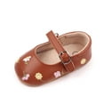 thumbnail image 6 of Niusricy Baby Girls Mary Jane Flats PU Leather Infant Dress Shoes Floral Embroidery Princess Shoes, 6 of 6