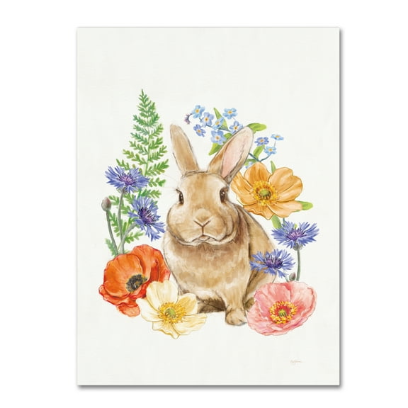 Trademark Fine Art 'Sunny Bunny II FB' Canvas Art by Mary Urban
