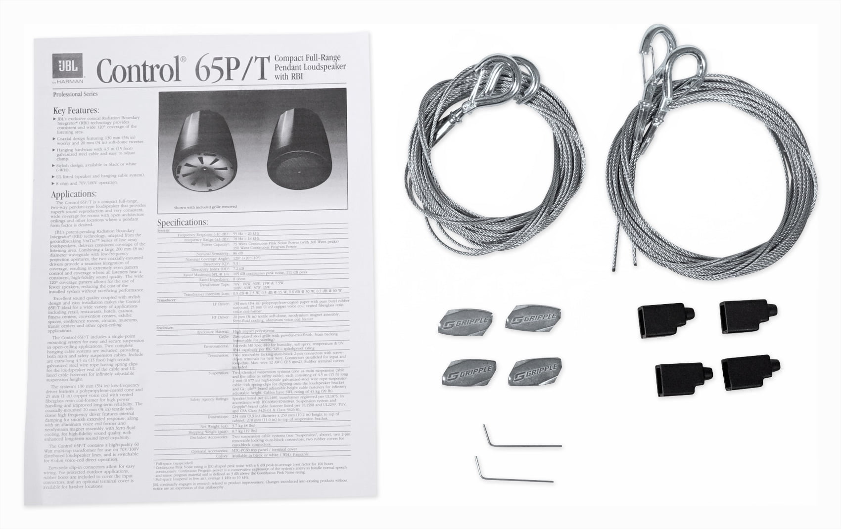 Control 65 P/T Compact Full-Rang ePendant Speaker