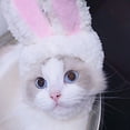 thumbnail image 4 of Gorra para gato, sombrero para mascotas, sombrero ligero para mascotas, disfraz de sombrero para mascotas, valor inmejorable, 4 of 5