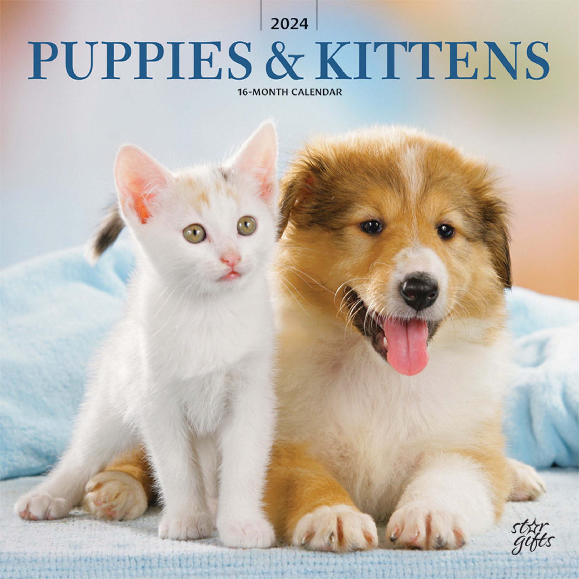 Puppies & Kittens 2025 12x24" (Hanging) Wall Calendar StarGifts