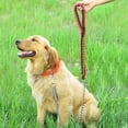 thumbnail image 5 of FrostHike Dog Leash Dog Chain Leash Chew Proof Dog Leash 4.6ft Heavy Duty Dog Leashes Metal Pet Chain Lead with Soft Rope Handle for Medium Large Dogs Black - M, 5 of 5