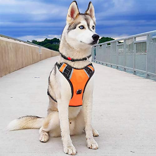 Babyltrl Big Dog Harness No Pull Adjustable Pet Reflective Oxford Soft Vest For Large Dogs Easy Control Harness Xl Orange Walmart Com Walmart Com Babyltrl Big Dog Harness No Pull Adjustable Pet Reflective Oxford Soft Vest For Large Dogs Easy Control Harness Xl Orange Walmart Com Walmart Com