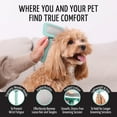 thumbnail image 4 of Tauro Pro Line Wooden Slicker Brush for Dogs & Cats, Deshedding & Detangling Tool for Medium to Long Coats, Flexible Cushion, Medium (M), Mint, 4 of 9