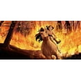 thumbnail image 3 of Spirit: Stallion of Cimarron (DVD), 3 of 6