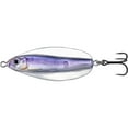 thumbnail image 5 of Fishing Tackle Lures Erratic Shiner Casting Spoon, 5 of 10