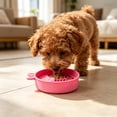 thumbnail image 4 of Silicone Slow Feeder Dog & Cat Bowl | Puzzle Cat Feeder for Slow Eating, Non-Slip Fun Pattern, Mental Enrichment, Digestion & Bloat Relief | Interactive Pet Enrichment Bowl, Prevents overeating, 4 of 7