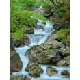 thumbnail image 2 of Zwick, Martin 19x24 Gold Ornate Wood Framed with Double Matting Museum Art Print Titled - Waterfall in gorge of Gaisalpbach near Oberstdorf in the Allgau-Germany-Bavaria, 2 of 4