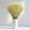 Cyan, variant on 50 Stems Dried Wheat Stalks - Wheat Straw for Vases 13.3 in