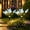 blue, variant on Maspost Solar Pink Violet Garden Stake Lights, 2 pack 6-Head LED Warm White Outdoor Flower Lights for Yard, Lawn, Patio