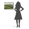 thumbnail image 4 of Global Gallery's 'A Day at the Farm I Bright' by David Carter Brown Stretched Canvas Wall Art, 4 of 4