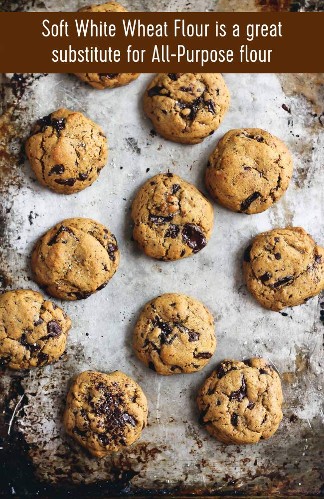 Buy Whole Wheat AllPurpose Flour Soft White Wheat 3 lbs Palouse