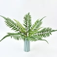 thumbnail image 3 of Artificial Potted Plants Fake Palm Plants Small Faux Tropical Palm Plant Tree in Pots Bohemian for Home Room Office Tabletop Desk House Indoor Decoration, 3 of 6