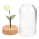 thumbnail image 1 of Miniature Rose Dome Decorative Flower Model for Dollhouse Accessories, Realistic Green Rose Under Thick Cloche, Easy Care Mini Plant Ornament for, 1 of 4