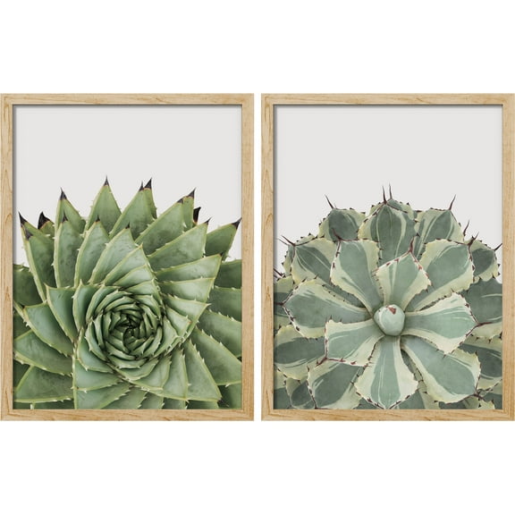 PixonSign Framed Wall Art Prickly Green Cactus Posters, Set of 2 Southwest Texas Arizona Desert Plants Illustrations Wall Decor, Adhesive Canvas Prints for Home Decor - 11"x14" Natural