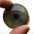 thumbnail image 5 of Leopard Glass Eyes, 5 of 7