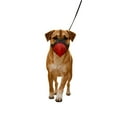 thumbnail image 1 of TPR Parrot Guard Device for Dogs to Chewing and Excessive Barking, 1 of 6