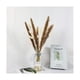 thumbnail image 1 of Ramo de flores secas Ramo de flores secas naturales Caña Flores Pampas Trigo Orejas Setaria para el hogar LingWen 9024715538512, 1 of 1