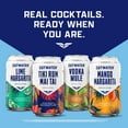 Cutwater Spirits Vodka Mule, 4 Pack 12 fl. oz. Cans, 7 ABV