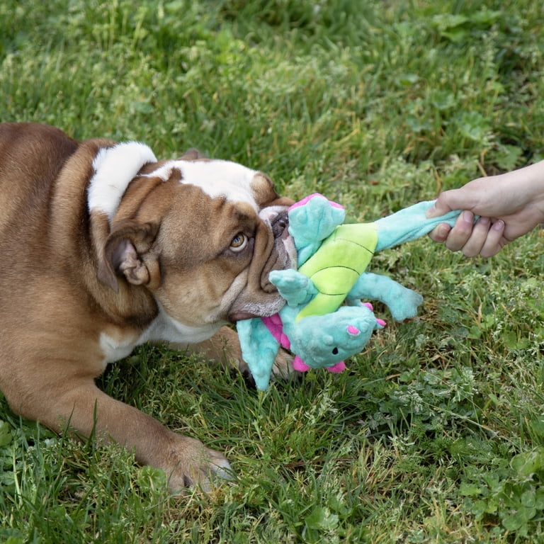 goDog Dragons Extra Soft Plush Toy, Medium Seafoam photo 8