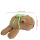 thumbnail image 4 of Capybara Muñeca Clap Circle Huggers Pulsera Caricomunidad para Favoreco La Fiesta Suministro, 4 of 9