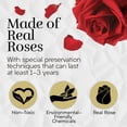 thumbnail image 2 of GLAMOUR BOUTIQUE 12-Piece Forever Flowers Round Box - Preserved Roses, Immortal Roses That Last A Year - Eternal Rose Preserved Flowers for Delivery Prime Mothers Day & Valentines Day - Red, 2 of 5