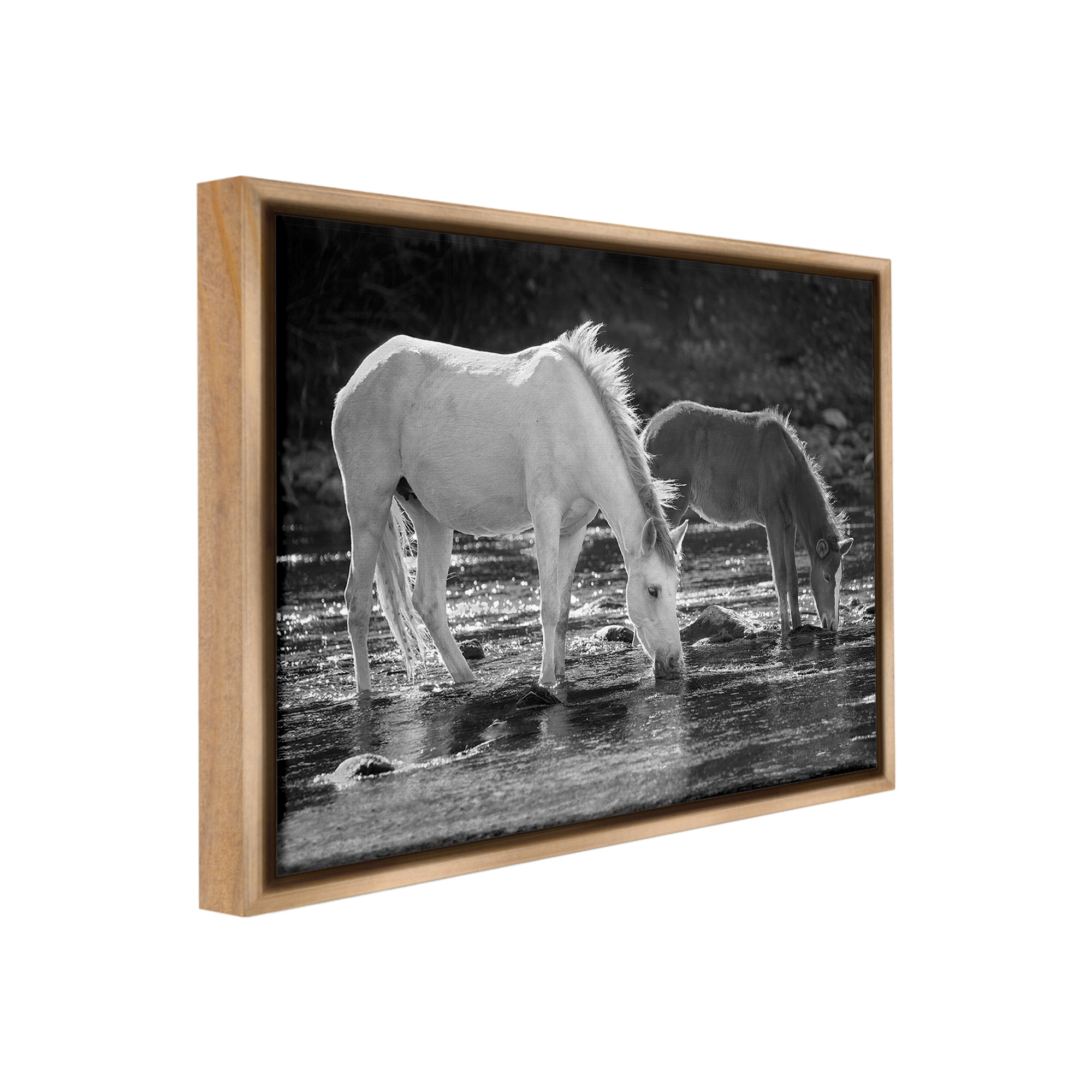 Stupell Industries Horses Drinking at Stream Animals & Insects Photography Brown Floater Framed Canvas Art Print Wall Art, 31 x 25