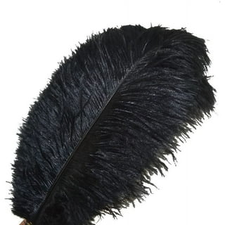 12pcs Natural Black Ostrich Feathers 12-14inch (30-35cm) for Wedding Party Centerpieces,Flower Arrangement and Home Decoration