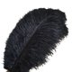 thumbnail image 1 of Paquete de 10 plumas de avestruz para decoración del hogar, bodas, 30-35 cm, 1 of 5