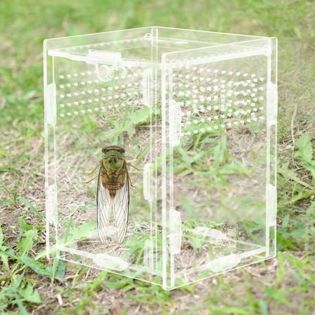 WORGEOUS  Reptile Terrarium Kit Container Breeding Bins Pet Supplies Transparent