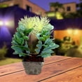 thumbnail image 3 of Maceta con planta artificial para decoración del hogar, oficina Storyland Storyland  7686, 3 of 3