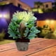 thumbnail image 3 of Maceta con planta artificial para decoración del hogar, oficina Storyland Storyland  7686, 3 of 3