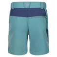 thumbnail image 3 of Regatta Boys/Girls Sorcer Mountain III Shorts, 3 of 6