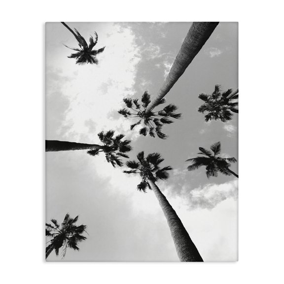 Stupell Industries Coastal Black and White Sky Through Palms Canvas Art, 16 x 20, by Ziwei Li