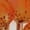 Orange Color, variant on Women Tropical Summer Dress Strapless Floral Midi Tube Bodycon Party Clubwear Rose Red L