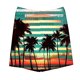 thumbnail image 4 of Odeerbi 5-14 Años Niños Niñas Pantalones Cortos de Estampado Tropical Hawaiano Pantalones de Baño En Seco Rápido Pantalones Cortos de Tabla de Playa Pantalones Cortos Deportivos, 4 of 5