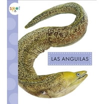 Animales del océano: Las anguilas (Paperback)