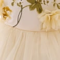 thumbnail image 5 of LOVEBAY Baby Girl Lace Dress Toddler Tulle Sleeveless Princess Party Wedding Pageant Toddler Baby Girls Party Tutu Gown Dresses, 5 of 8
