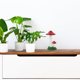 thumbnail image 1 of unbranded Figurilla De Seta Para Decorar Jardín Elaborada En Resina Resistente, 1 of 5