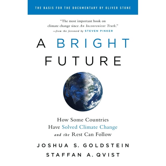 A Bright Future (Paperback)