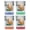 Multicolor (4-Pack), variant on Daytona Beach Florida Vintage Design Souvenir 2 oz Square Shot Glass – Orange