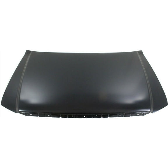 For Ford F-150 2004 05 06 07 2008 Hood Panel Assembly | Steel | FO1230276 | 4L3Z16612AA-PFM