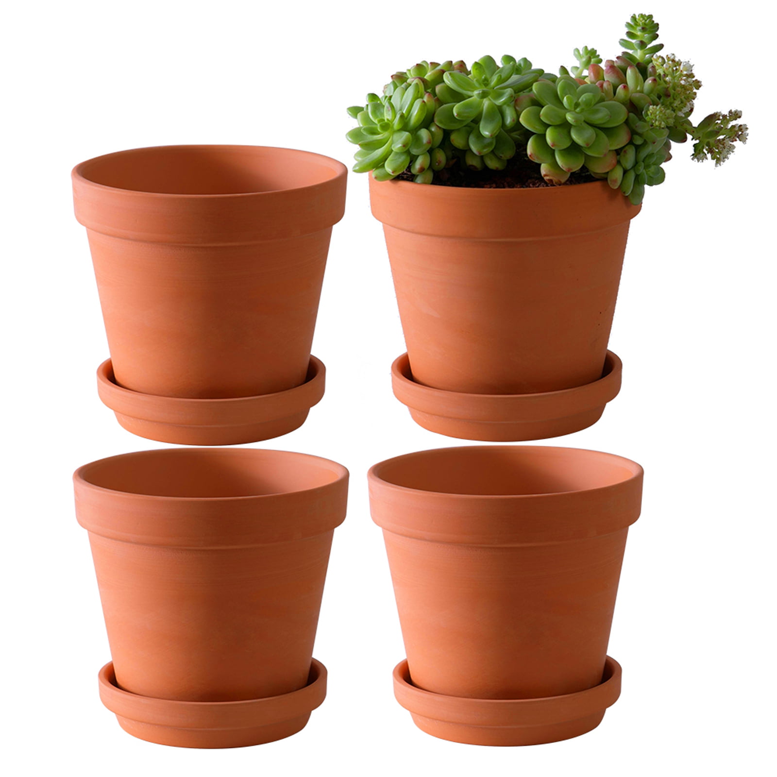 Terracotta Clay Cactus Succulent Indoor Garden Flower Planter Bowl 6 Pack Pots 