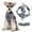 Gray-GY-clearacne, variant on OEFNTAC Home and Kitchen Reflective Pet Harness Leash Breathable Adjustable Vest Soft Padded No Pull for Cat Dog Outdoor Walking