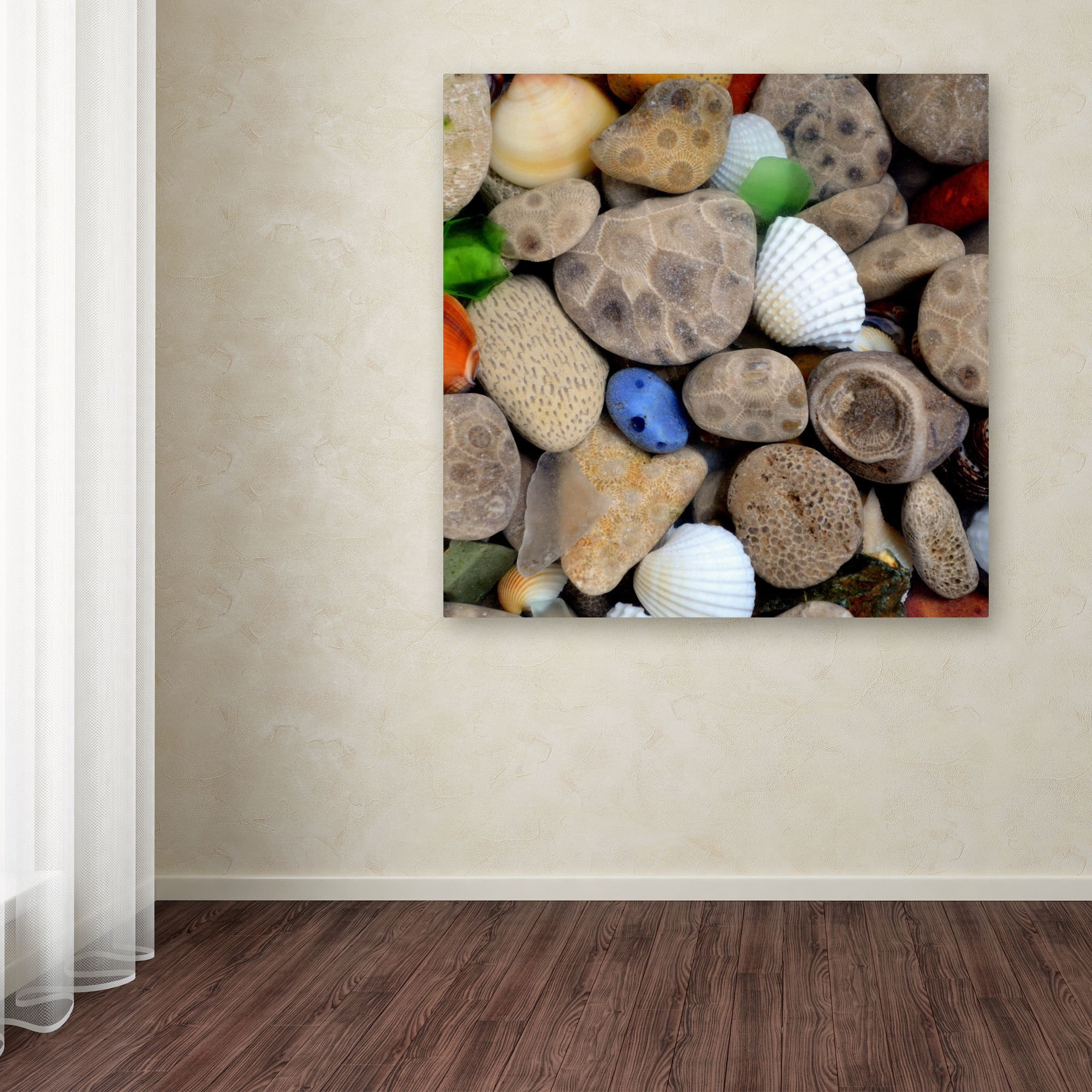Trademark Fine Art "PetoskeyStones V" Canvas Art by Michelle Calkins
