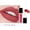 102 Color, variant on Matte No Stain On Cup 24 Colors New Lip Gloss